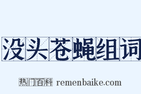 没头苍蝇组词是什么意思的图片